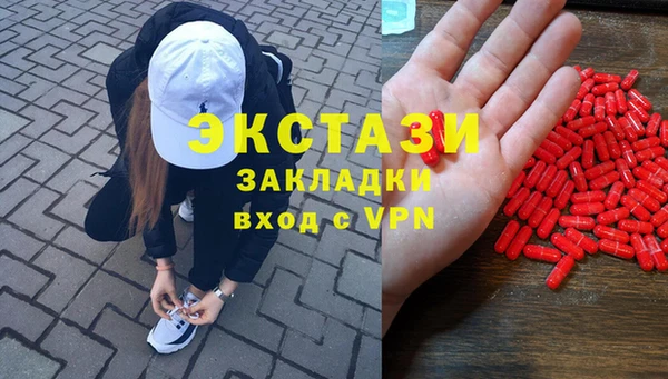 гидра Алексеевка