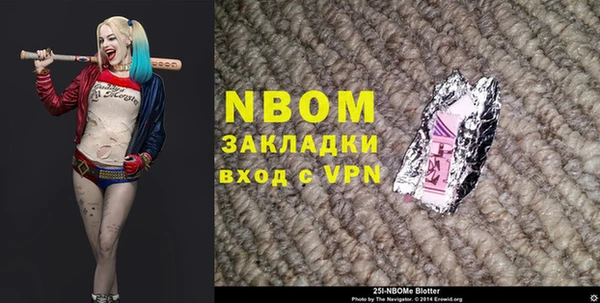 мет Няндома