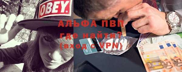 гидра Алексеевка
