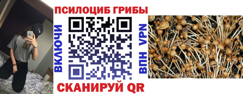hydra как войти  даркнет клад  Псилоцибиновые грибы мухоморы  Анадырь 